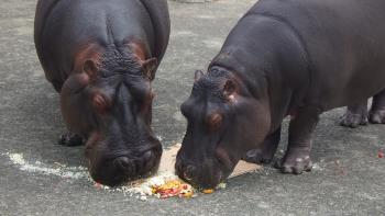 2頭そろって 2頭そろって