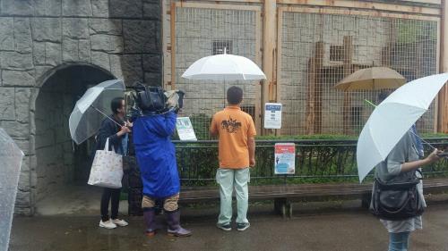 運動場の様子 運動場の様子