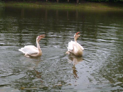 11-3 ナイスキャッチ! パクリ 11-3 ナイスキャッチ! パクリ