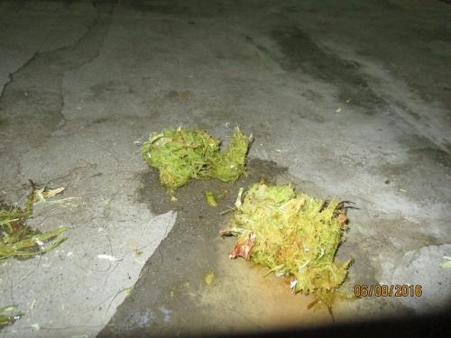 25 25