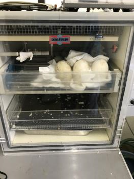 孵卵機 孵卵機
