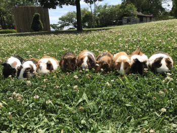 出場メンバー 出場メンバー