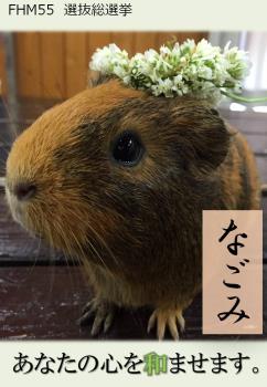 なごみ 1 なごみ 1