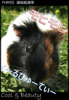 モヒモヒ 1 モヒモヒ 1