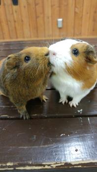 なごみ&もり なごみ&もり