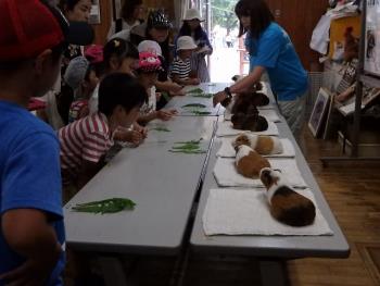 選挙投票 選挙投票