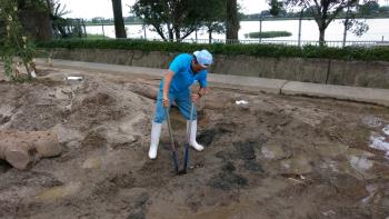 ここほれ ここほれ