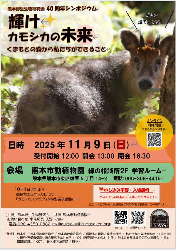 チラシ表 チラシ表