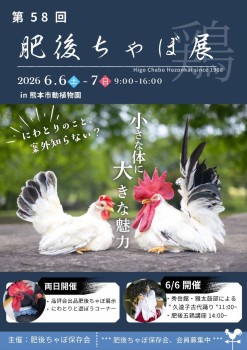 肥後ちゃぼ展 肥後ちゃぼ展