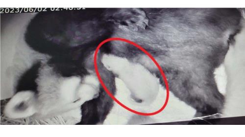 カメラ映像 カメラ映像