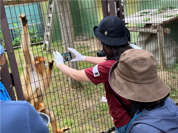 きんしこう きんしこう