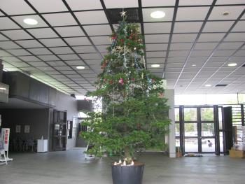 クリスマスツリー クリスマスツリー