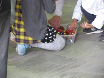 クリスマスツリー クリスマスツリー