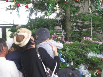 クリスマスツリー クリスマスツリー