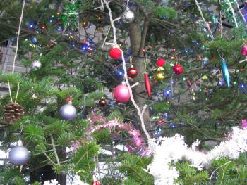 クリスマスツリー クリスマスツリー