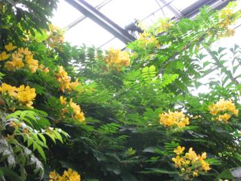 モクセンナ モクセンナ