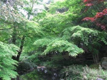 日本庭園 日本庭園