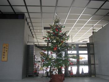 クリスマスツリー クリスマスツリー