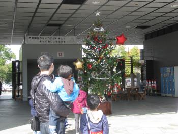 クリスマスツリー クリスマスツリー
