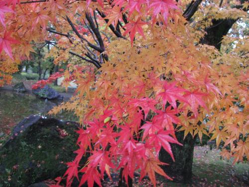 花の休憩所周辺 花の休憩所周辺