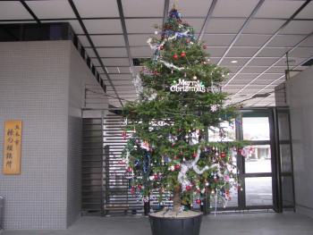クリスマスツリー クリスマスツリー