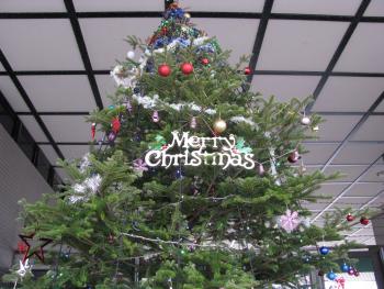クリスマスツリー クリスマスツリー