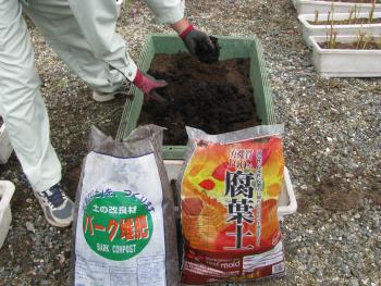 地拵え 地拵え