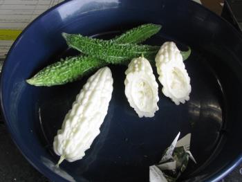 収穫物ゴーヤ0712 収穫物ゴーヤ0712