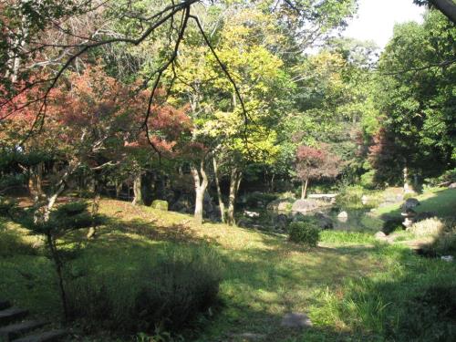 日本庭園1118