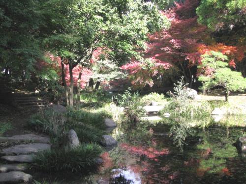 日本庭園1127 日本庭園1127
