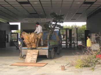 大物1228 大物1228