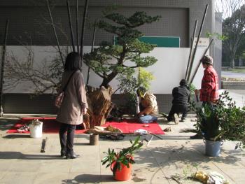 飾付1229 飾付1229