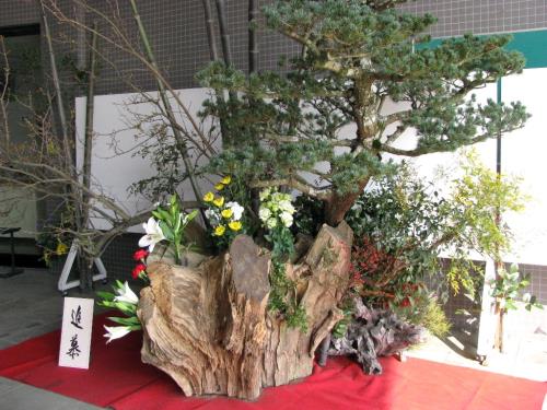 完成1229 完成1229