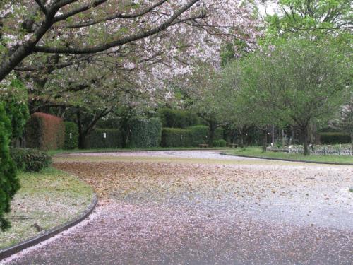 園路0403 園路0403