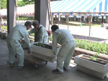 作業中0513 作業中0513