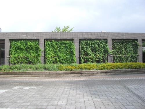 カーテン全景0729 カーテン全景0729