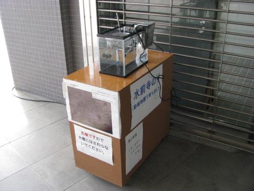展示中1205 展示中1205