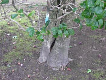 根元0128 根元0128