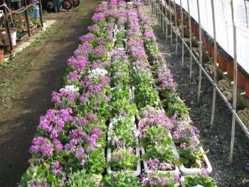 1週間前0218 1週間前0218