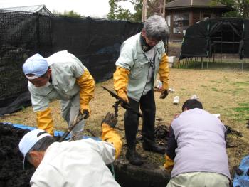 はいレンコン はいレンコン