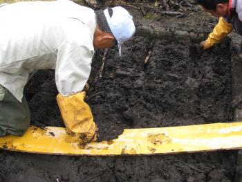 植え付けの様子 植え付けの様子