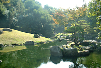 植物園内の日本庭園