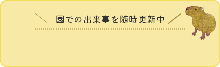 園での出来事を随時更新　ブログ