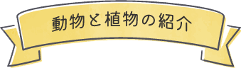 動物と植物の紹介