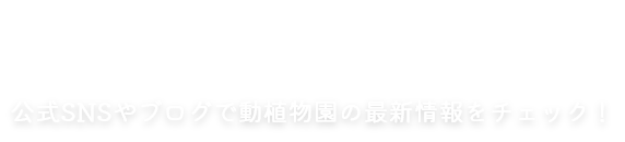 熊本市動植物園のいま　公式SNSやブログで動植物園の最新情報をチェック！