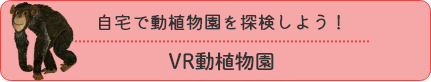 自宅で動植物園を探検しよう！VR動植物園